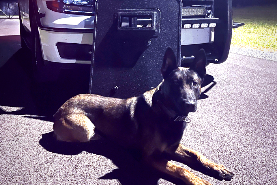 Police dog with shield and vehicle